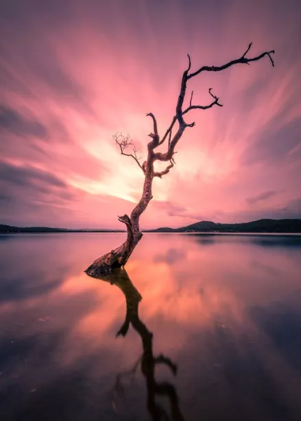 这个世界，只有回不去的，没有什么是过不去的。好好对待陪在你身边的那些人，因为爱情、友情都是一辈子的事情。相信自己的直觉，不要随随便便招惹别人，也不要让别人随随便便走进你的世界招惹你。