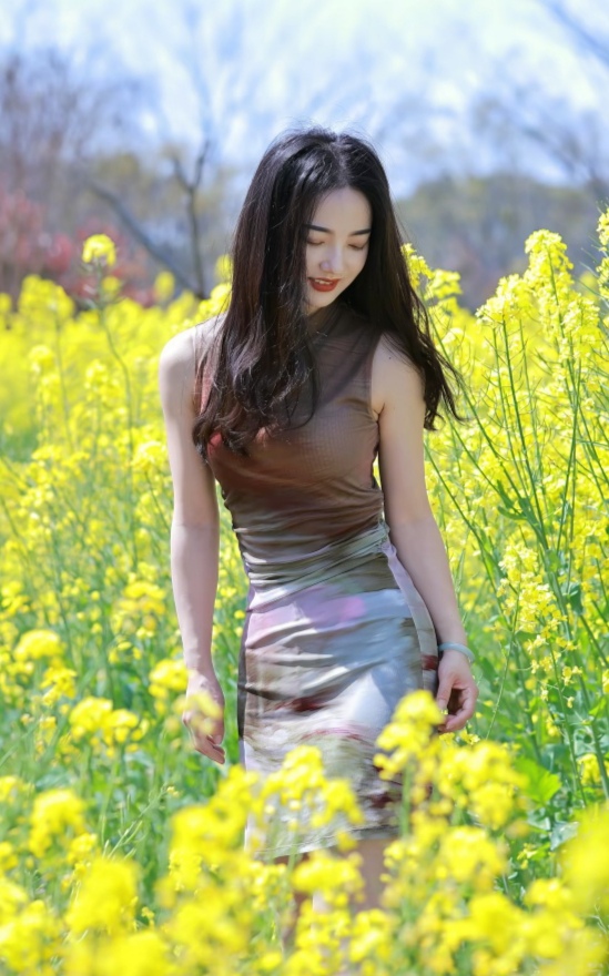 油菜，花开富贵