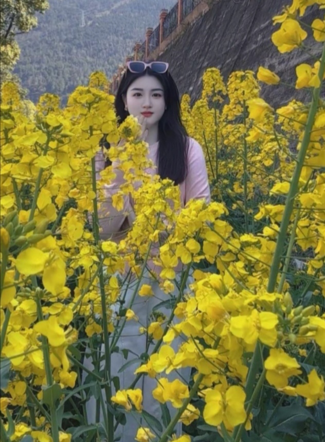 春会来，花会开