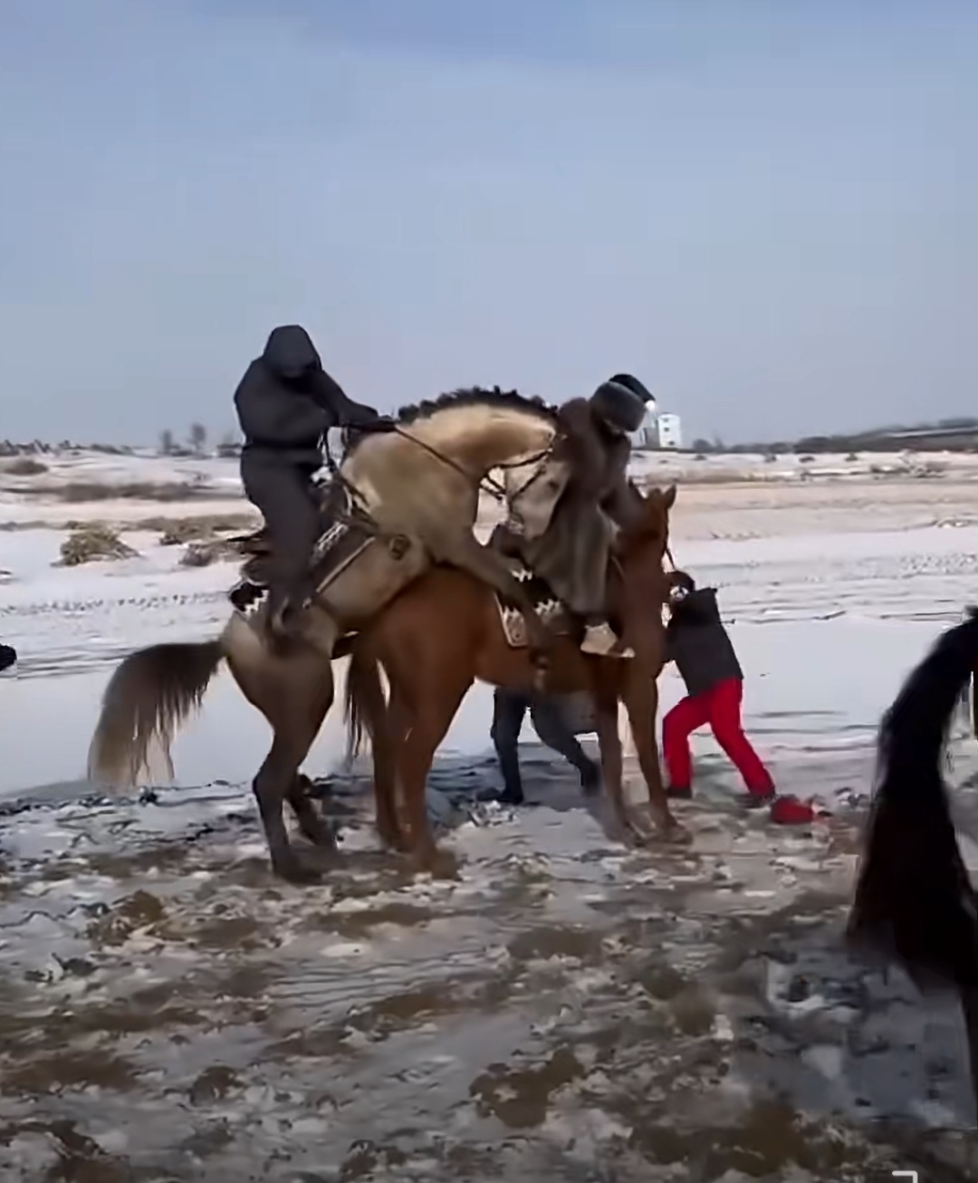 这马也太不矜持了，骑马的男子下来后，满脸的喜悦，不知说什么好了😀