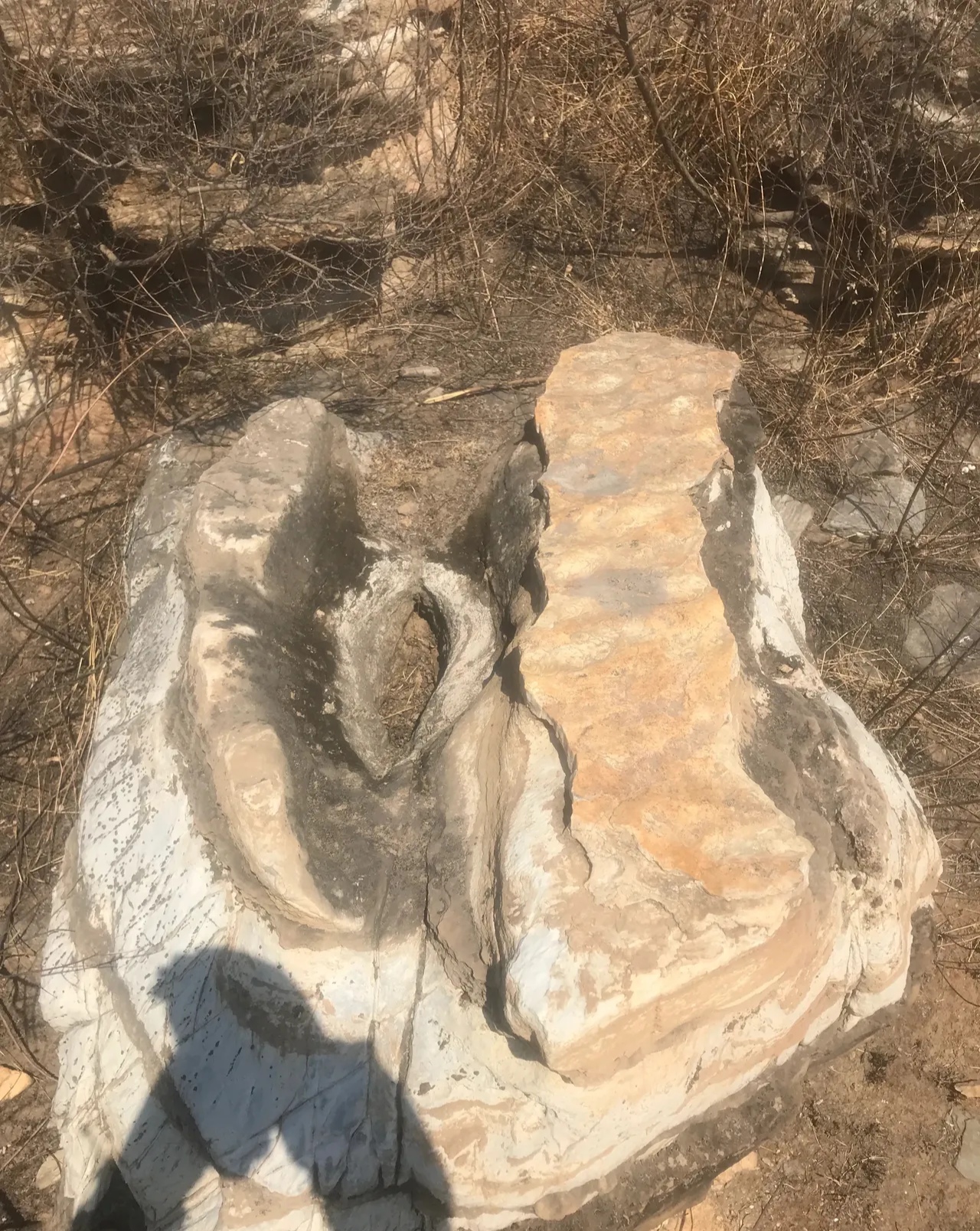 重大发现！近日一网友在徐水某山坡发现一块天然奇石，目测超过一吨了，这怎么才能弄下山？能值多少钱？在线等……