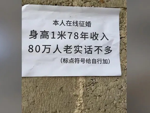 在线征婚，请自行加标点，那你咋加？