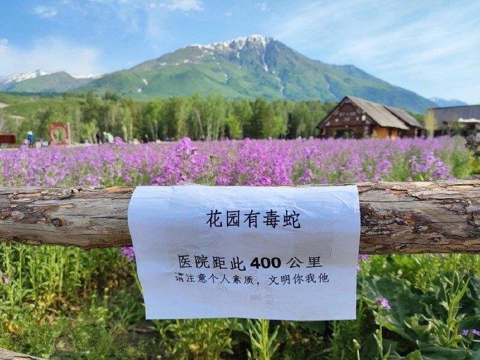 这份告示，警示效果应该杠杠滴。