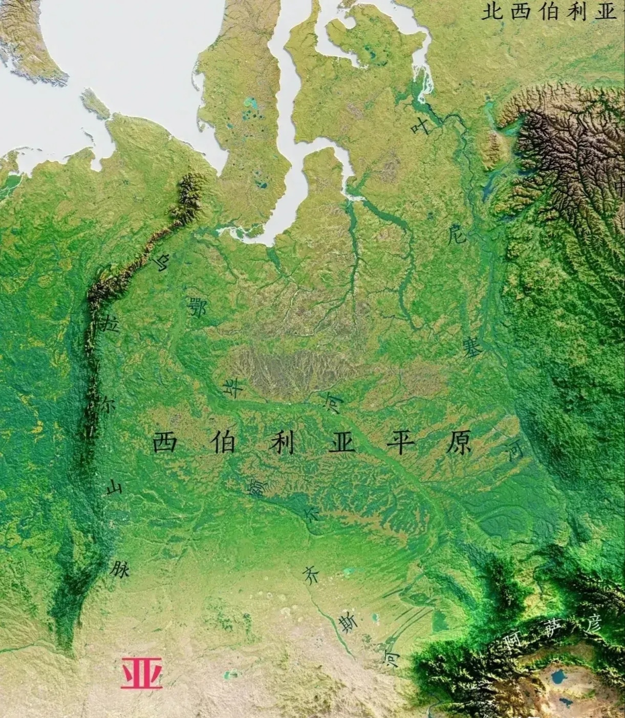 这个西西伯利亚平原面积260万平方千米，是亚洲第一大平原，总面积和印度差不多。

这里有一望无际的大平原，森林面积超过6000万公顷；这里有肥沃的黑钙土，是俄罗斯的粮仓；这里有叶尼塞河、鄂毕河、额尔齐