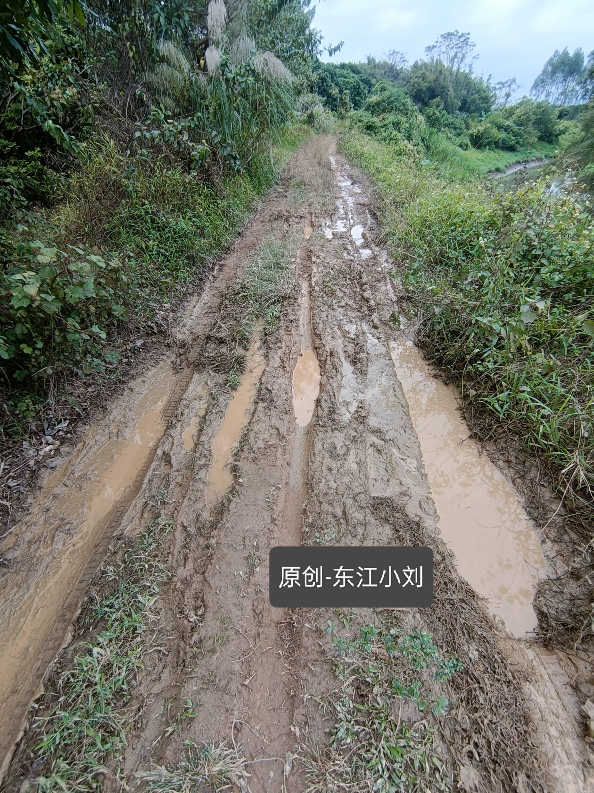 为了钓条鱼，不顾一切车子。
这条路以前是三轮车走的小路，如今变成了四轮子通道，越来越大了，连黄泥巴都挤压出来，压的一个个凹凸，前几天下了雨后，现在更不得，这样的泥巴还敢开进去，我不得不服钓鱼人，就为了