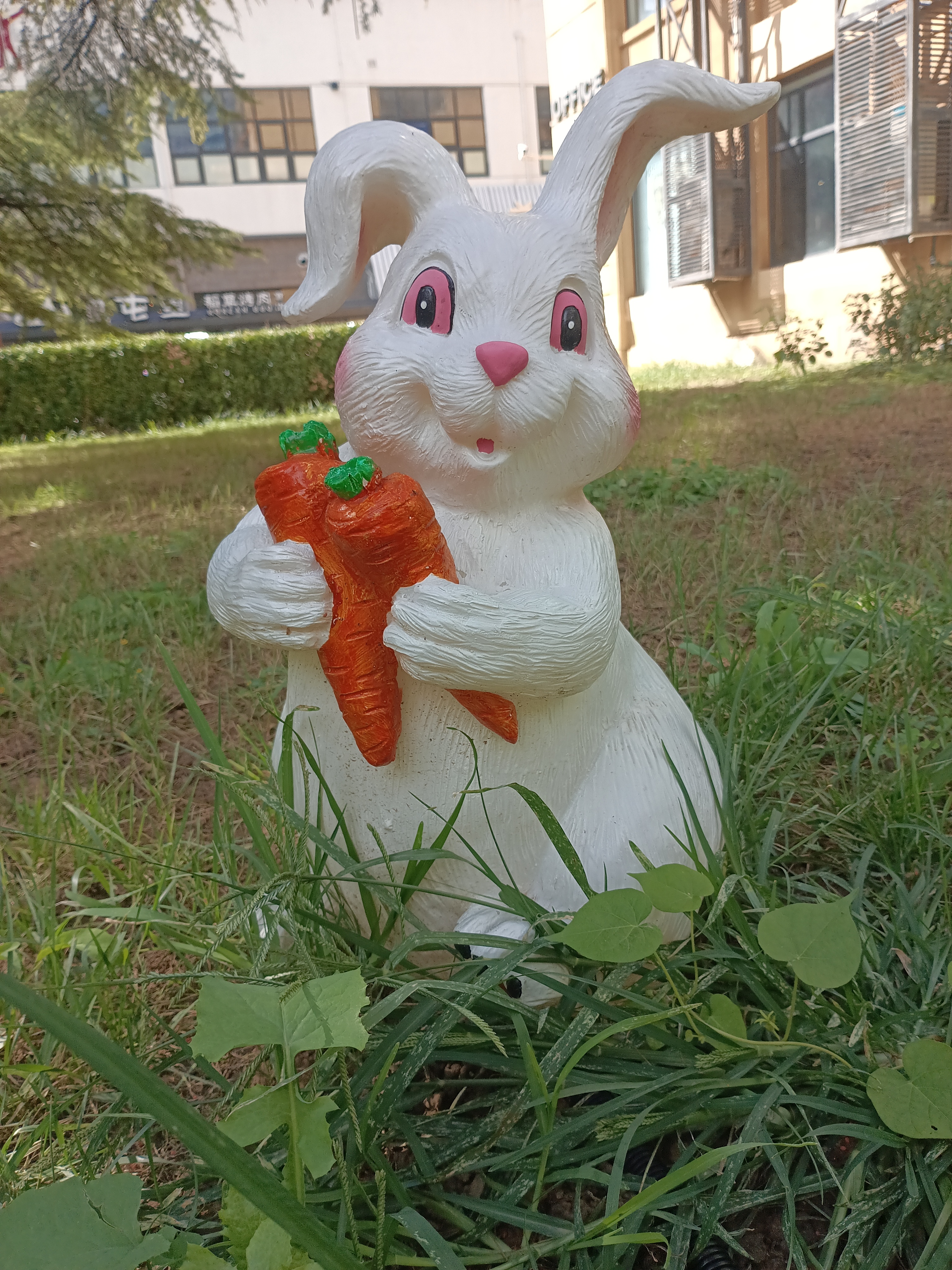 小白兔雕塑：
瞧这小兔子，怀里抱着胡萝卜，仿佛刚从草地蹦跶来，萌化了！