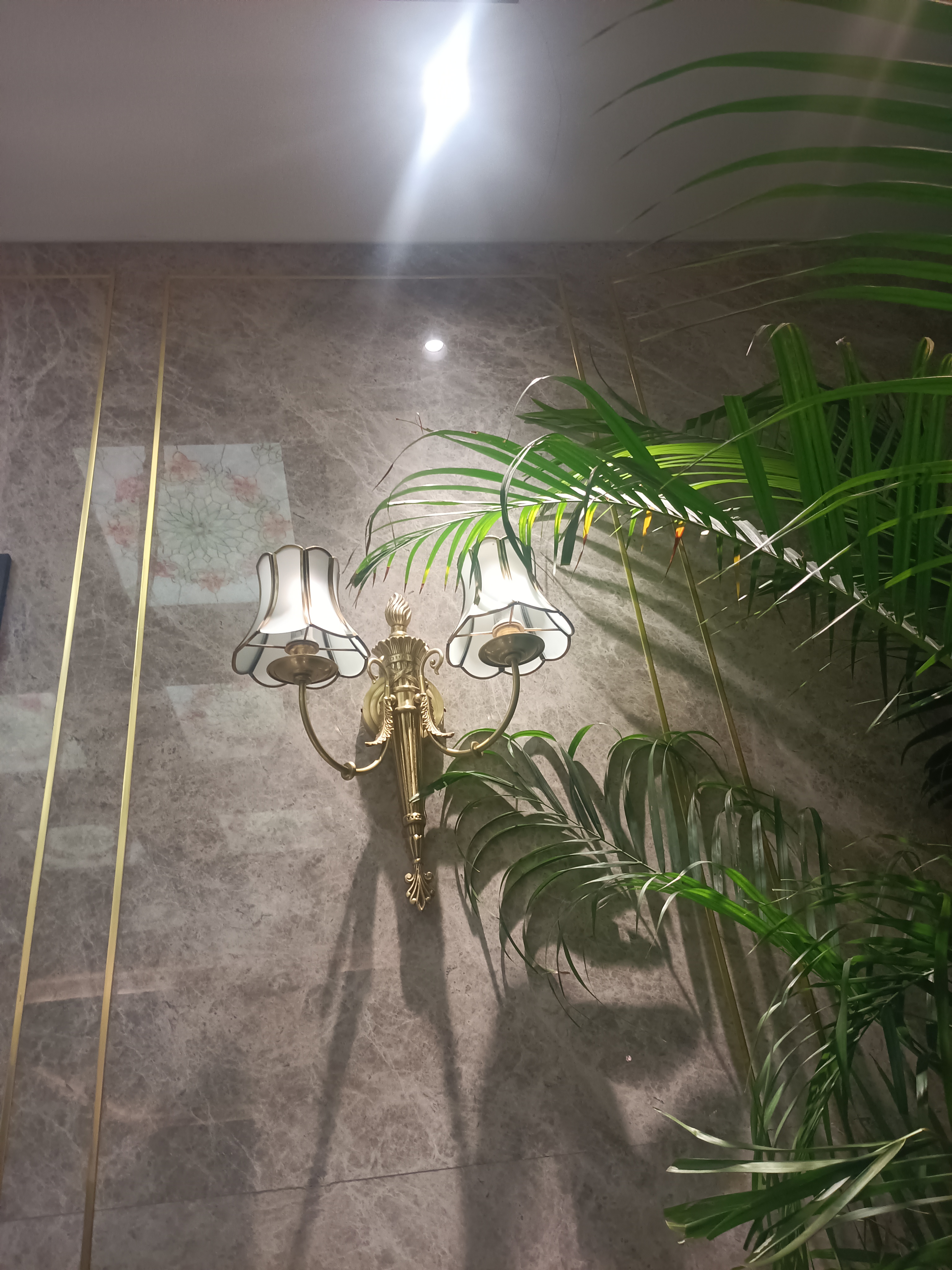 绿植下的灯饰：
优雅灯光下，绿植点缀的现代客厅，尽显自然与奢华的完美融合。