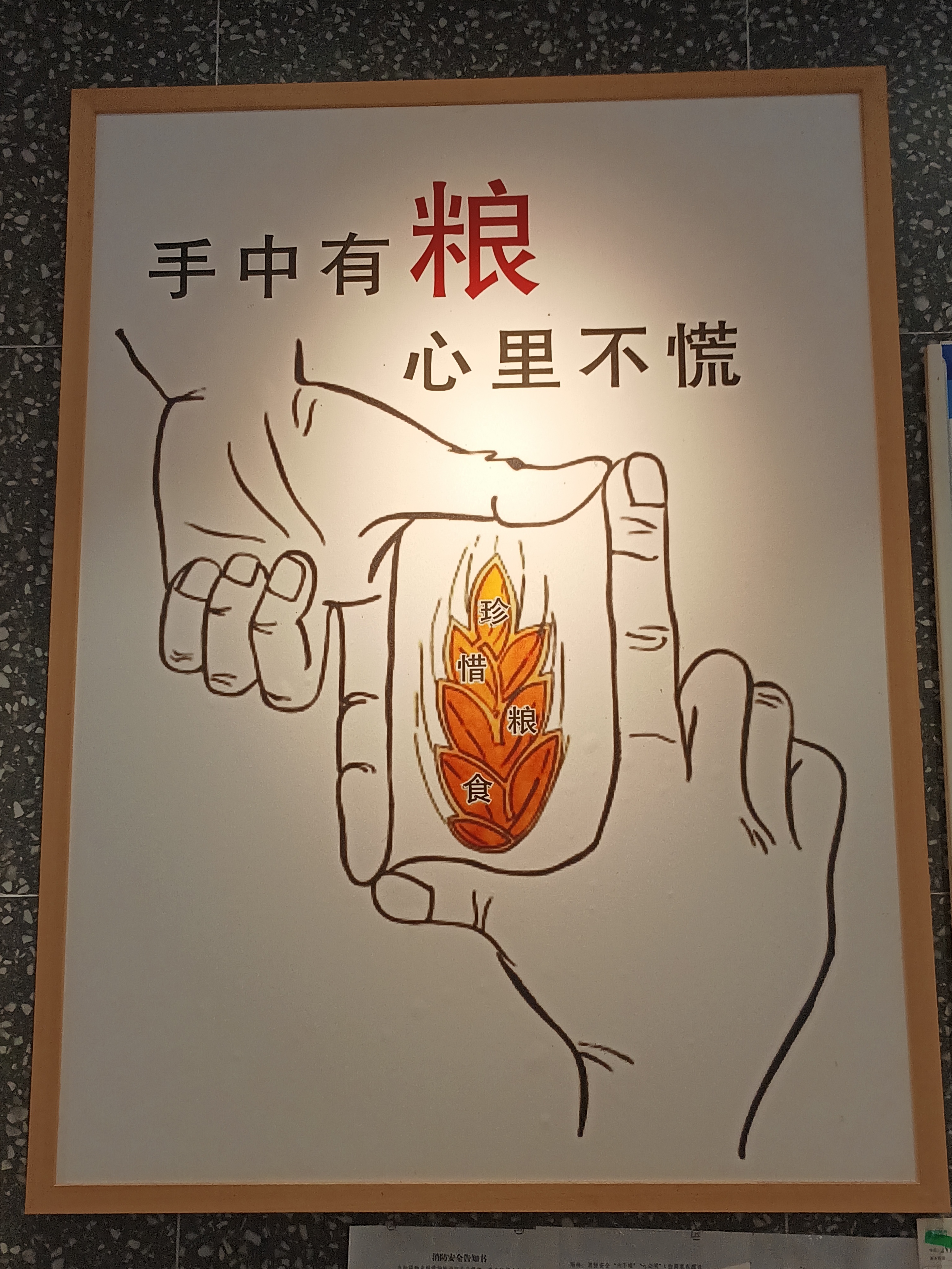 粮食与良心