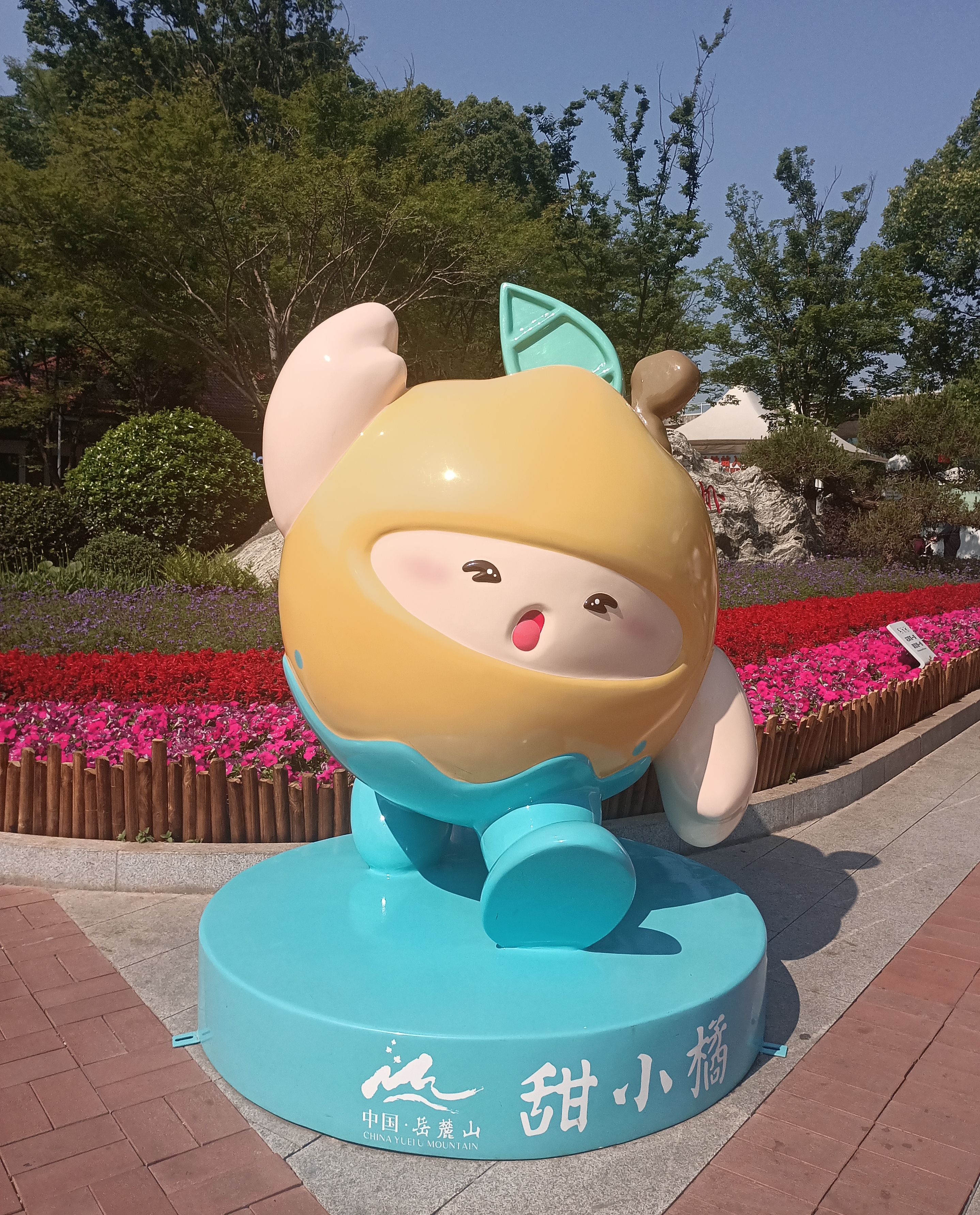 甜小橘：橘中自有甜滋味