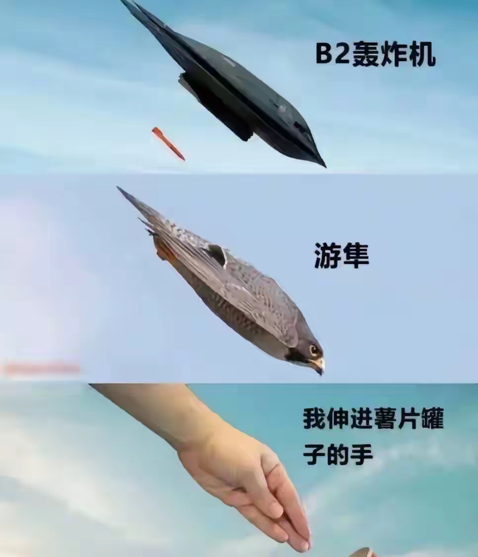 都是仿生学是吧。