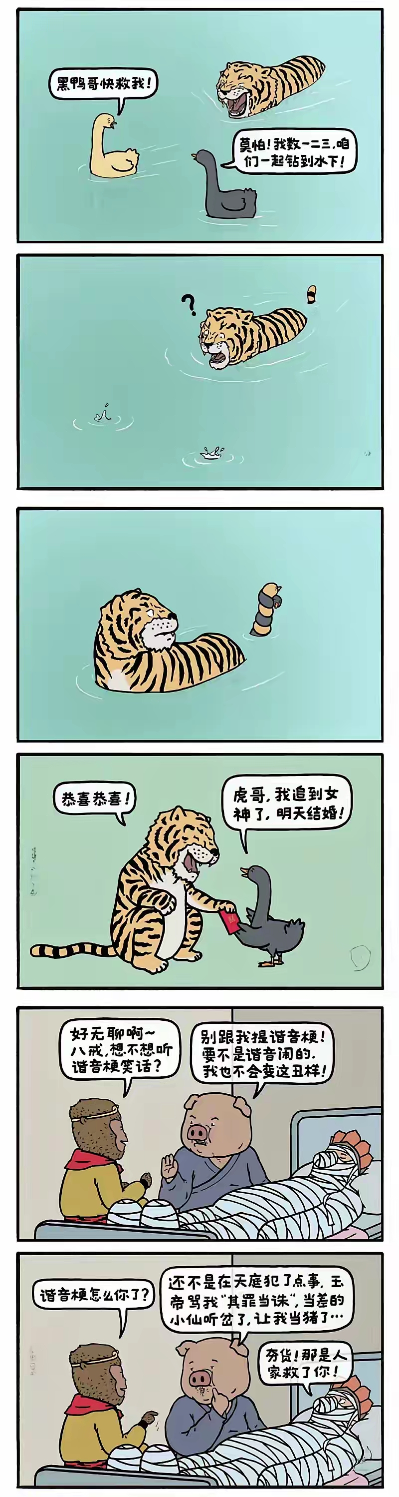 黑鸭哥救我。