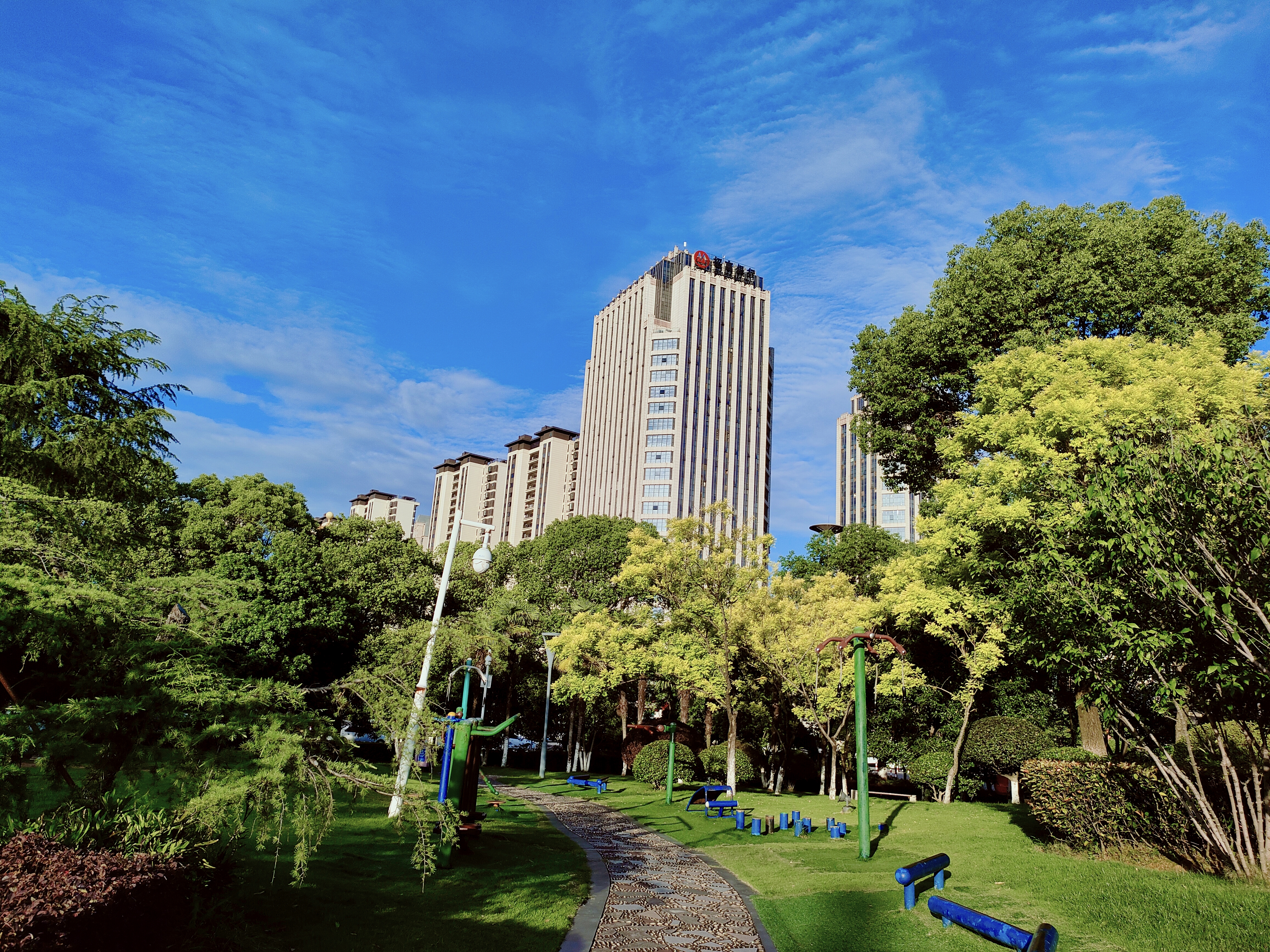 #我为上饶上大分# 闲来无事，去上饶市民公园转转，这蓝天白云，为青翠的城市搭配娇艳妩媚。#武夷山也姓赣# #优质主播中国行赣出圈# 