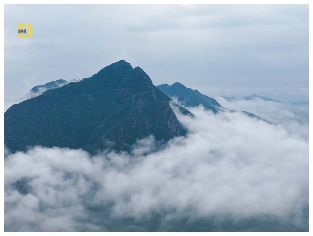 #航拍铅山# 【航拍铅山:云雾缭绕鹅湖山】云雾像海水一样，在鹅湖山脚下涌动，鹅湖山就像大海中的小岛，美艳！#武夷山也姓赣##在铅山遇见辛弃疾#