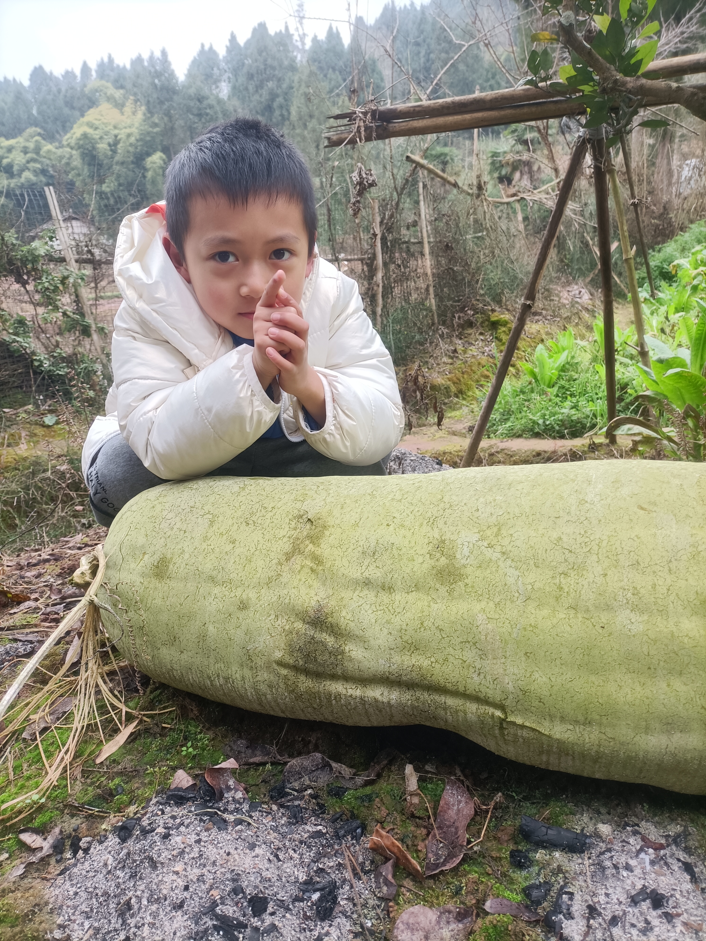 你带孩子回乡下过年了吗？看看我们家宝宝亲密接触的这个“大家伙”是什么呢？你能猜得