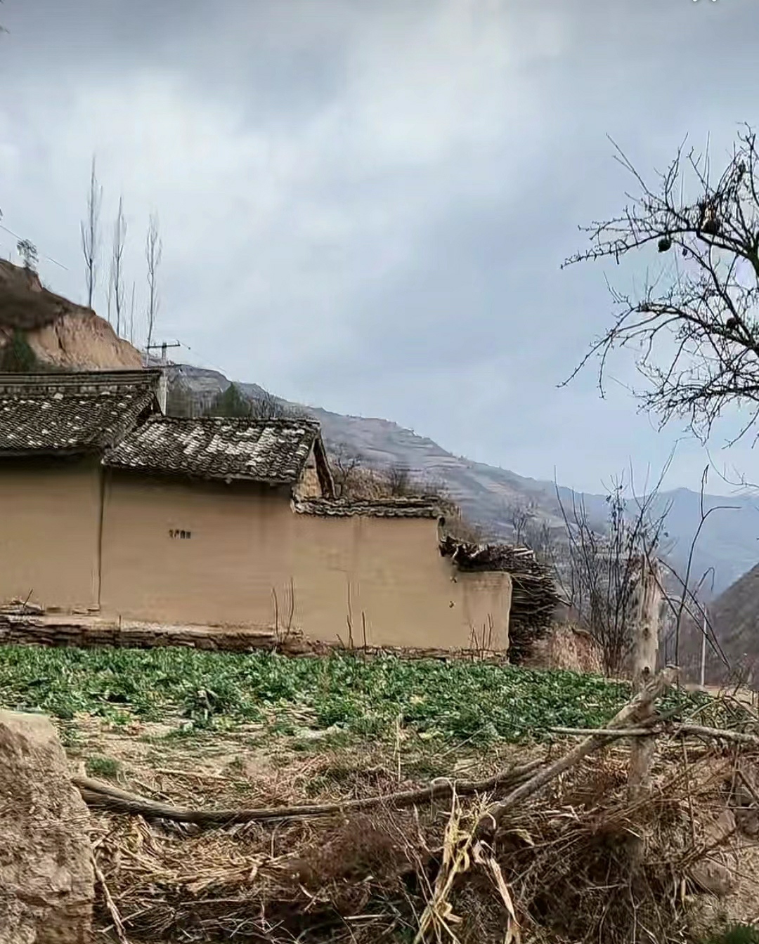 人到中年，如果占了10条或者10条以上，无疑是很失败的。
1.没有结婚生子。
2.没有属于自己的房子。
3.银行存款没有超过20万。
4.从来没有给自己交过养老保险。
5.没有驾驶证。
6.没有属于自