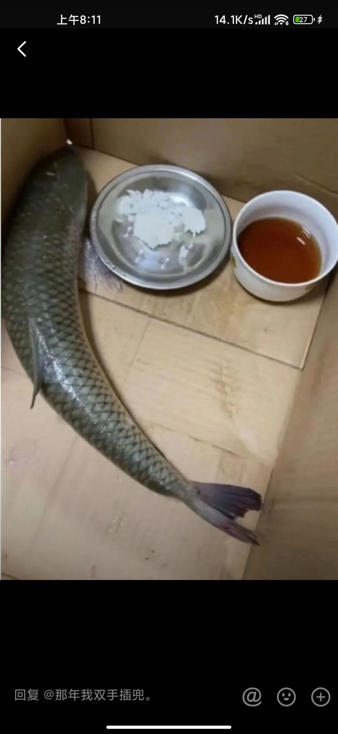 不吃不喝的不知道咋回事