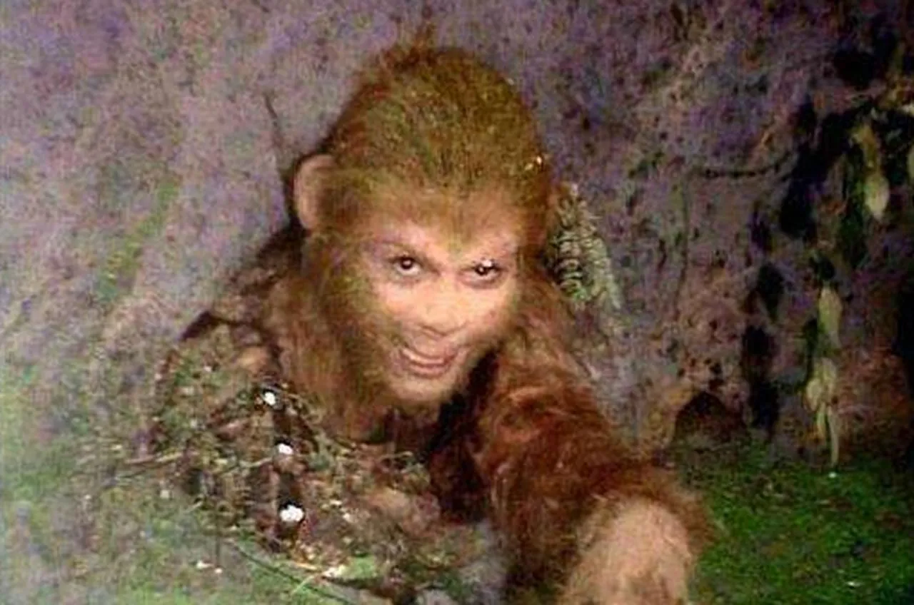 西游记是每个人童年的回忆