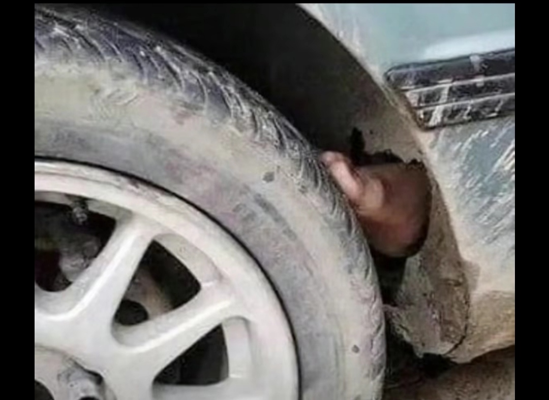 这车的刹车属实有点费鞋！