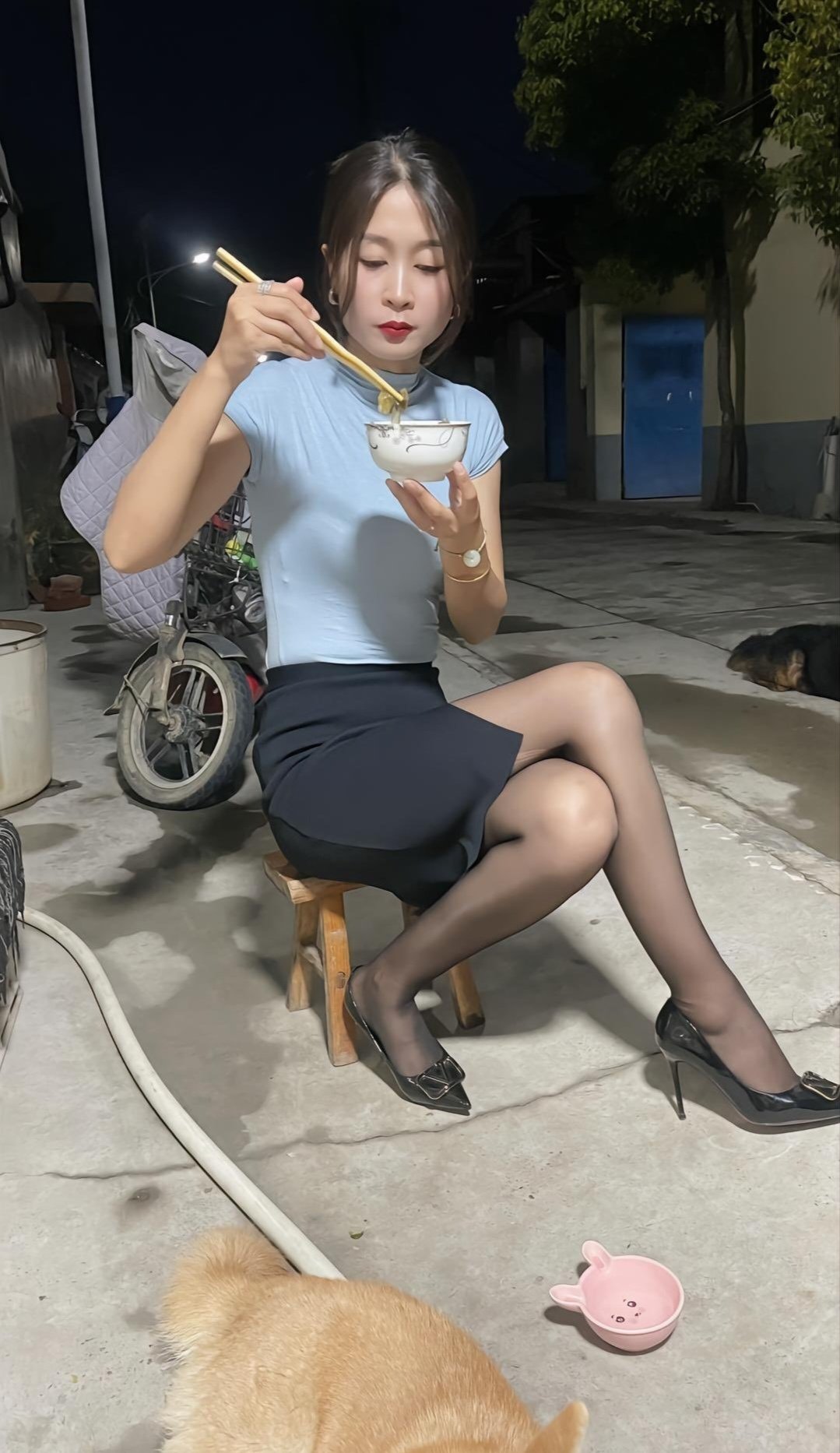 养狗只养小狗中的舔狗！