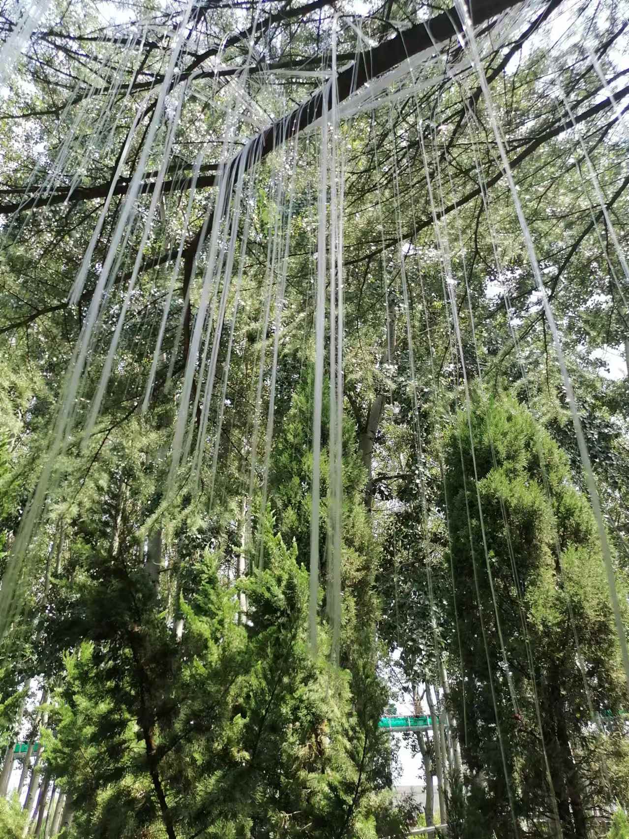 这里的风景与众不同！