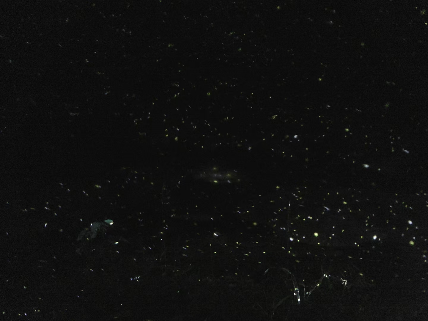 星星点灯！