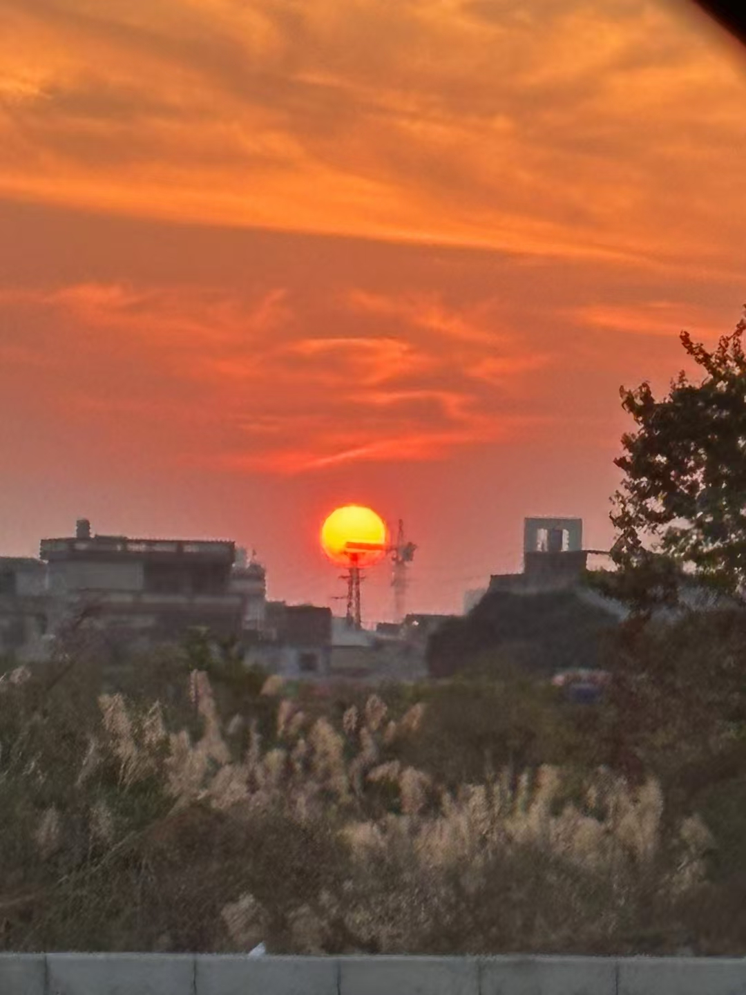 风景如画！