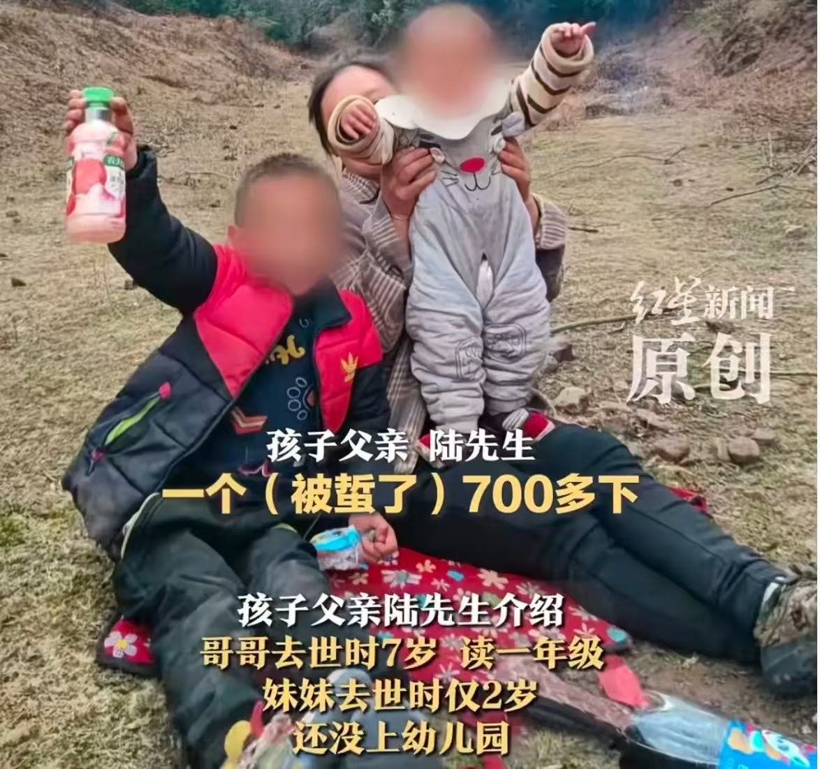 悲剧！云南省牟定县，一对兄妹被胡蜂蜇伤致死！父亲：“哥哥七岁，妹妹才两岁！要求赔偿200万！”养蜂人：“200万实在太多了，我承认对两个孩子的死有一定责任，但孩子监护人未尽到看护义务也应该担责！”

