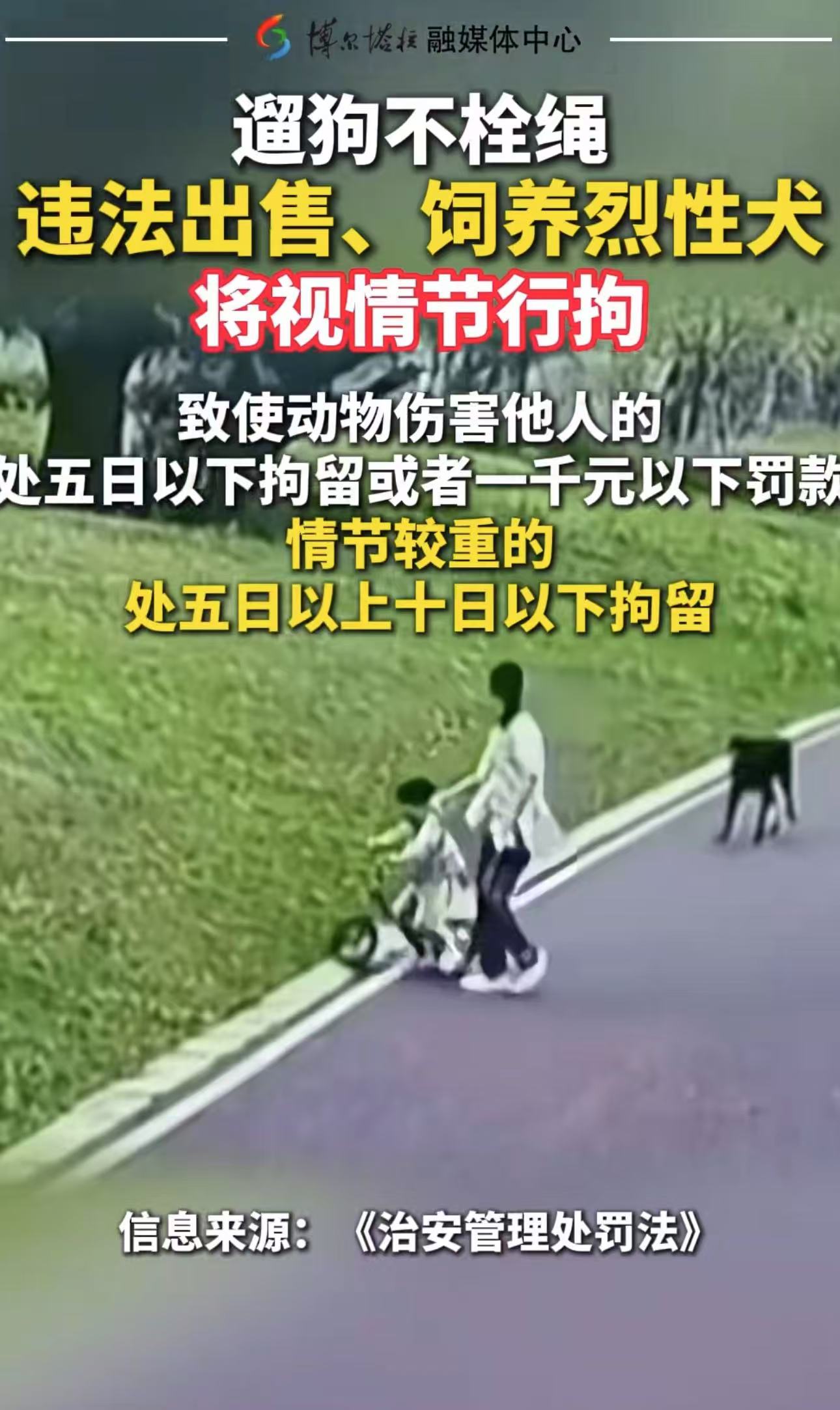 养狗的天要塌了！新规规定：遛狗不拴绳，导致狗咬人的，狗主人掏医药费不说，还要被拘留！

以前你碰见大型犬不拴绳，，最多可能就在道德层面上谴责狗主人一下，就算他咬你了，可能赔点医药费也就完事了。
