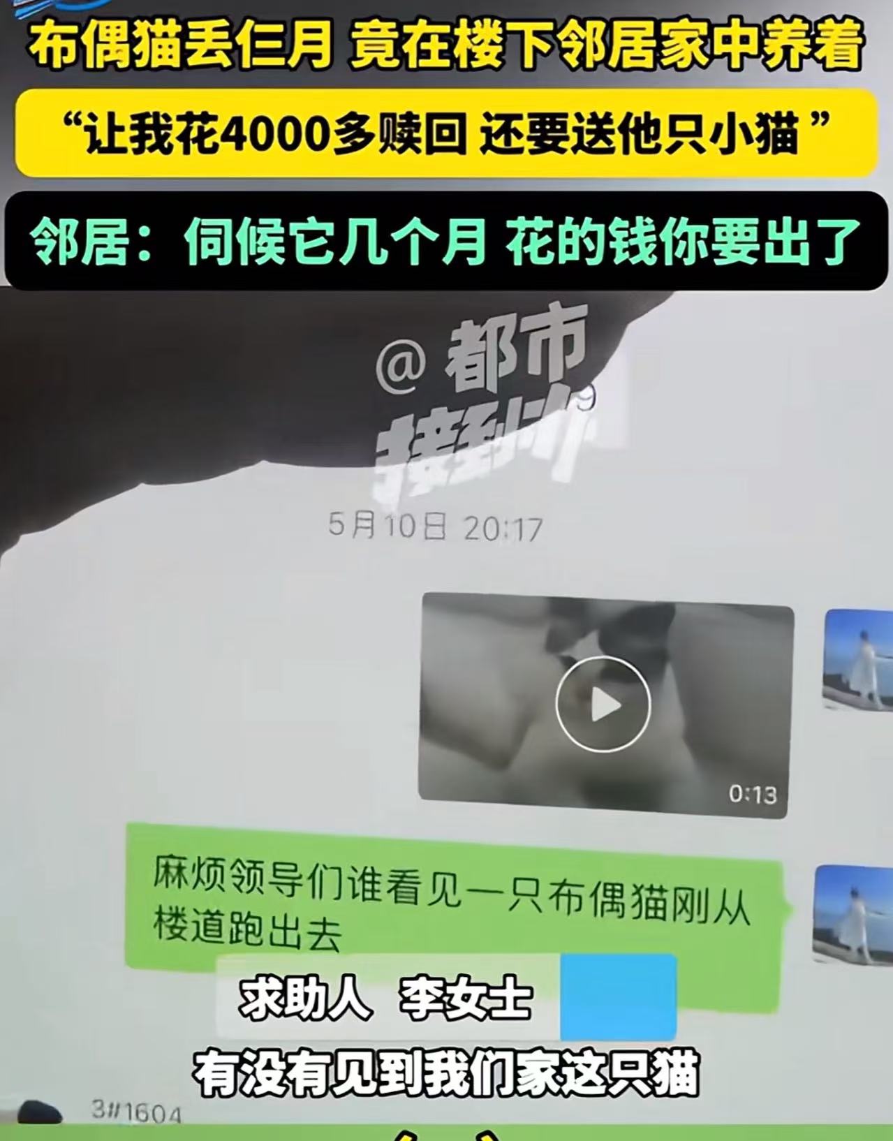 “到底怎么做到这么理直气壮的？”河南许昌，女子养的猫丢失，苦苦寻找3个月无果，后来意外发现被楼下邻居圈养，想要拿回，邻居竟然要求她交4000元赎回，还要送他一只小猫！”女子大怒：“我自己的猫，被你拿去