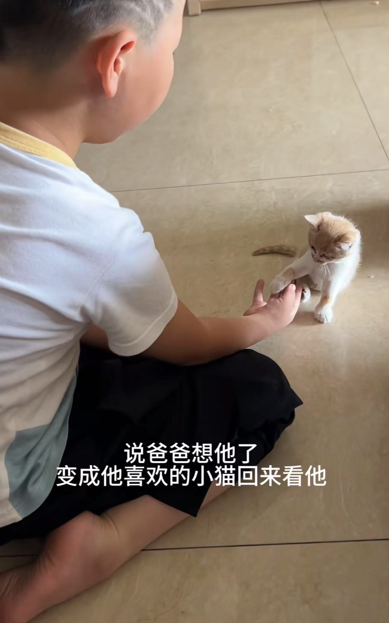 “科学无法解释，那就用爱吧！”河南，父亲因病去世2年多，儿子睡觉做梦，梦见爸爸变成了一只猫！结果第二天，家里居然真来了一小猫，男孩认定这就是“爸爸”，可妈妈觉得太离谱，劝儿子不要胡思乱想。可没想到儿子