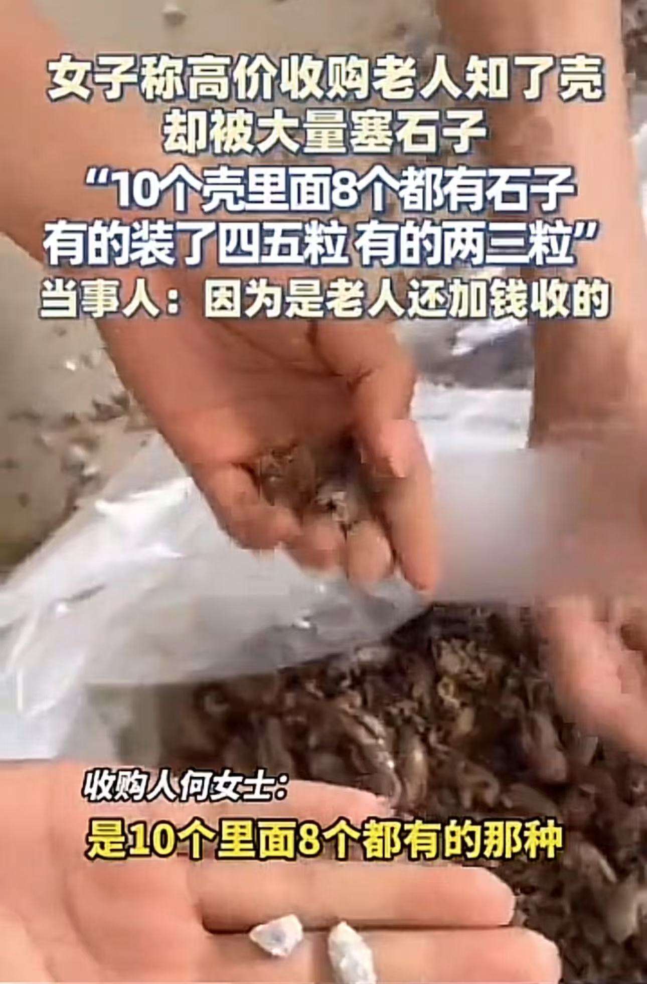 “不是所有老人都值得同情的！”陕西铜川，女子看老人可怜，高价收购他的知了壳，结果让她很伤心！女子：“10个壳里面8个都是有石子，有的装了四五粒，有的两三粒！感觉善良错付了！”网友：路边好多老人，在超市