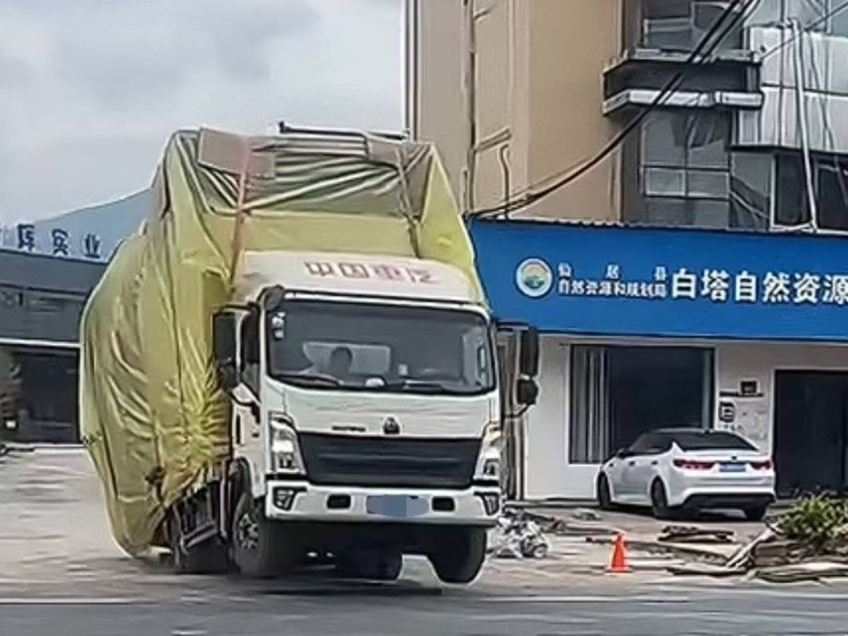 从短途到长途：蓝牌轻卡司机如何应对行业竞争

轻卡司机的辛劳与挑战
文｜张窕兰
通过超载和长时间工作来赚钱
在城配运输领域，轻卡一直是主力军，主要负责短途运输。然而，随着市场竞争的加剧，许多轻卡司机为