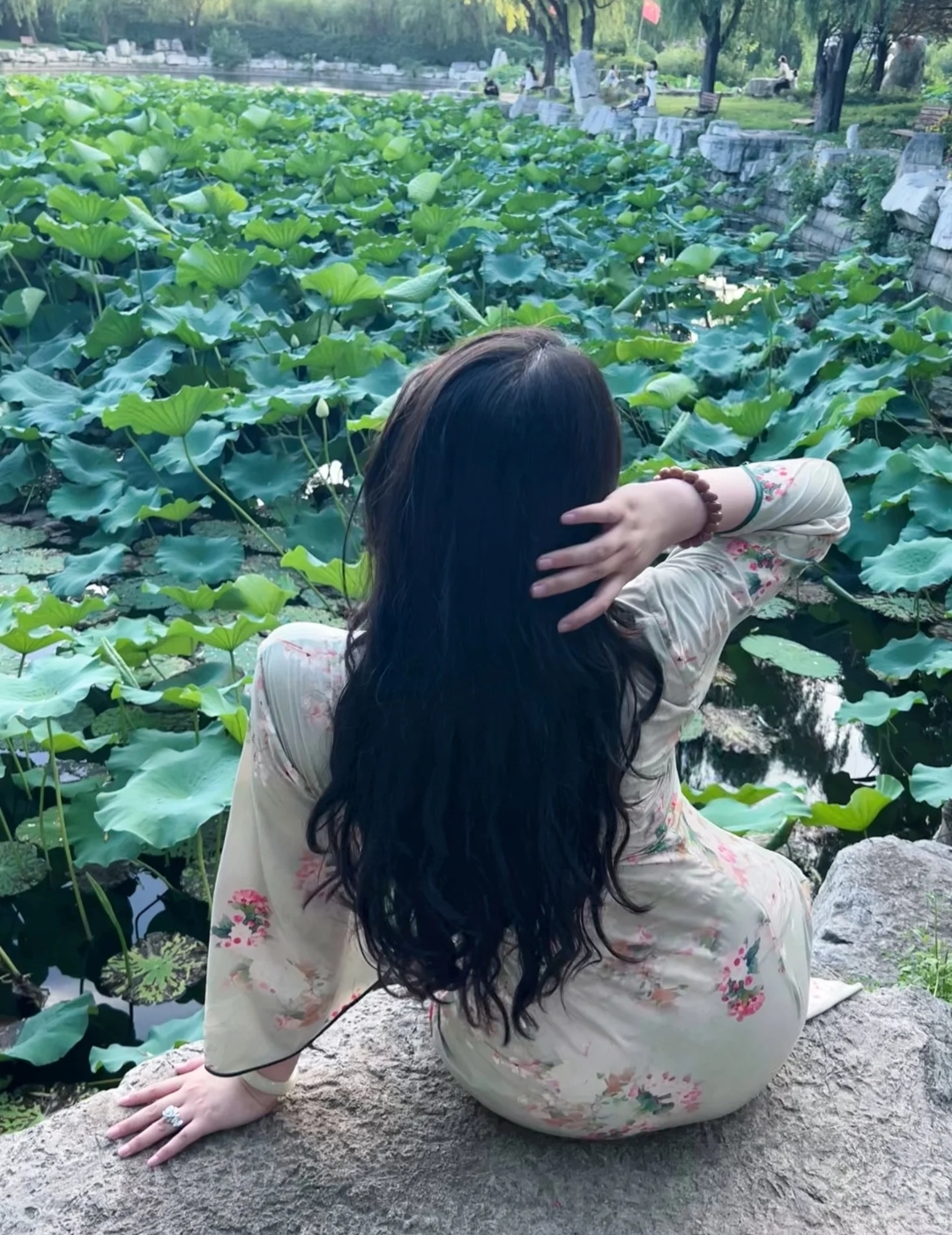 夏日荷塘边，静坐赏美景。