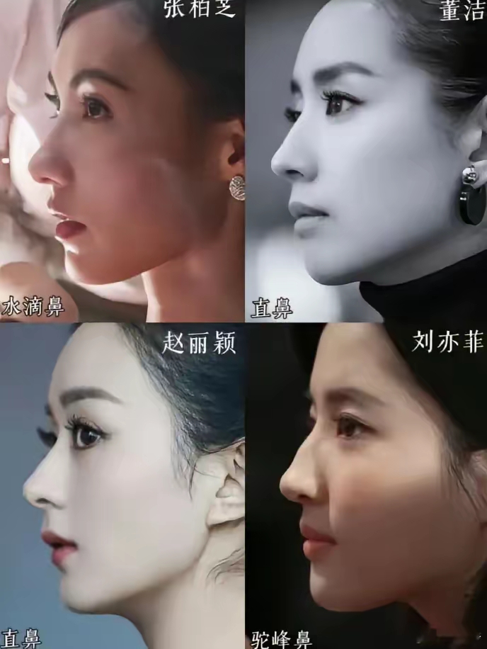 谁的鼻子好看
张柏芝骨相最好
但两腮无肉，下巴太尖。
董洁按东方人审美算是其中五官最
大气好看的，挑不出毛病；
赵丽颖的圆脸配大眼睛不错，
但对胶原蛋白含量要求相对高些；
刘亦菲是基础最差的，但合在一