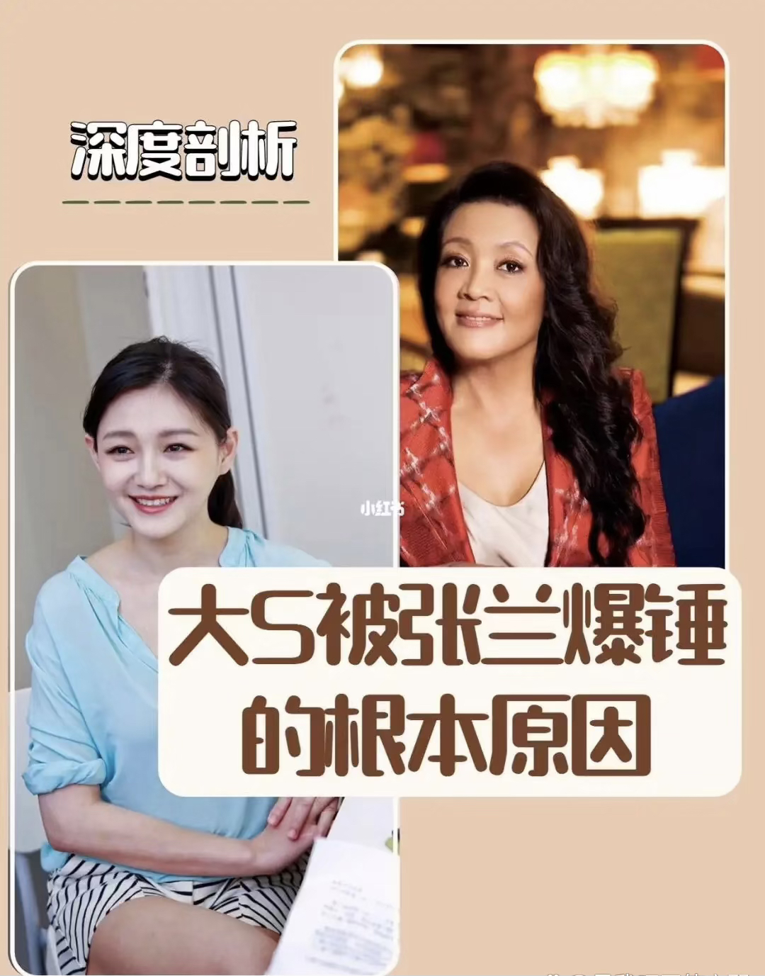 大S惹怒张兰了￼，嘚瑟跑韩国去上综艺，编织假童话故事骗观众，气的张兰蹦高晒你20