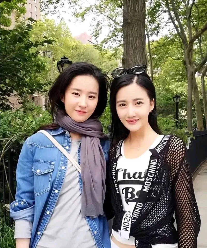 刘亦菲就是厉害，她眼睛比对方的眼睛小，但偏偏她看着更漂亮些，不得不说是她整张脸长