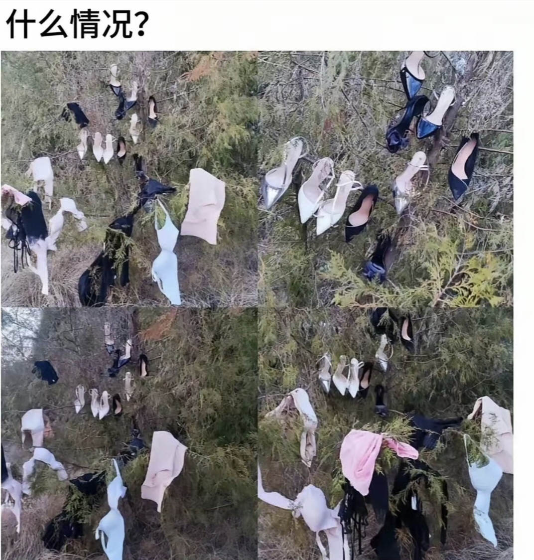 据说，有七只蜘蛛在这里洗澡