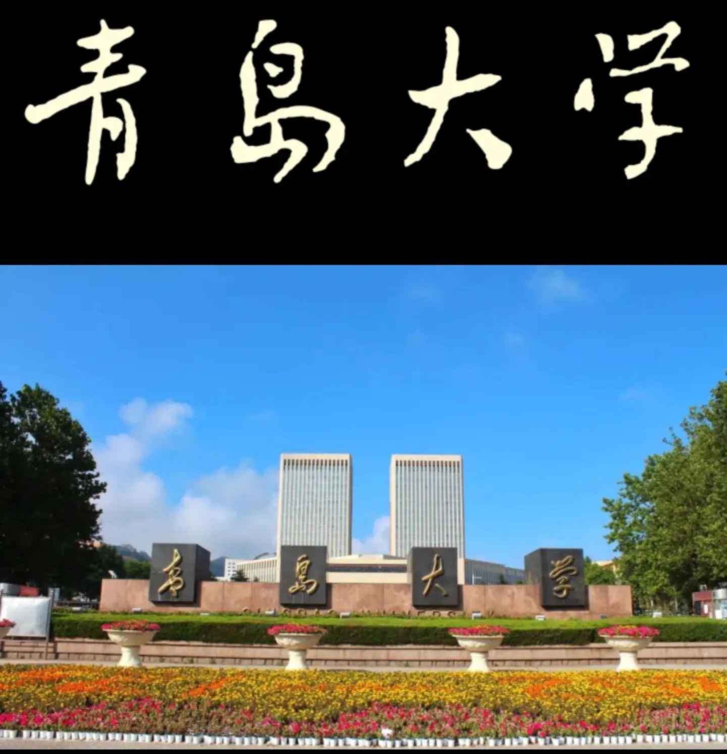 青岛大学这下子出大名了。
前段时间东北一些大学因为天气太热，牵扯出某些大学里面不乏名牌大学竟然还没有装空调。
本来这是已经糊弄过去了。
结果现在青岛大学反而跑出来把这个因果给接下来。
可怜的大爷，让我