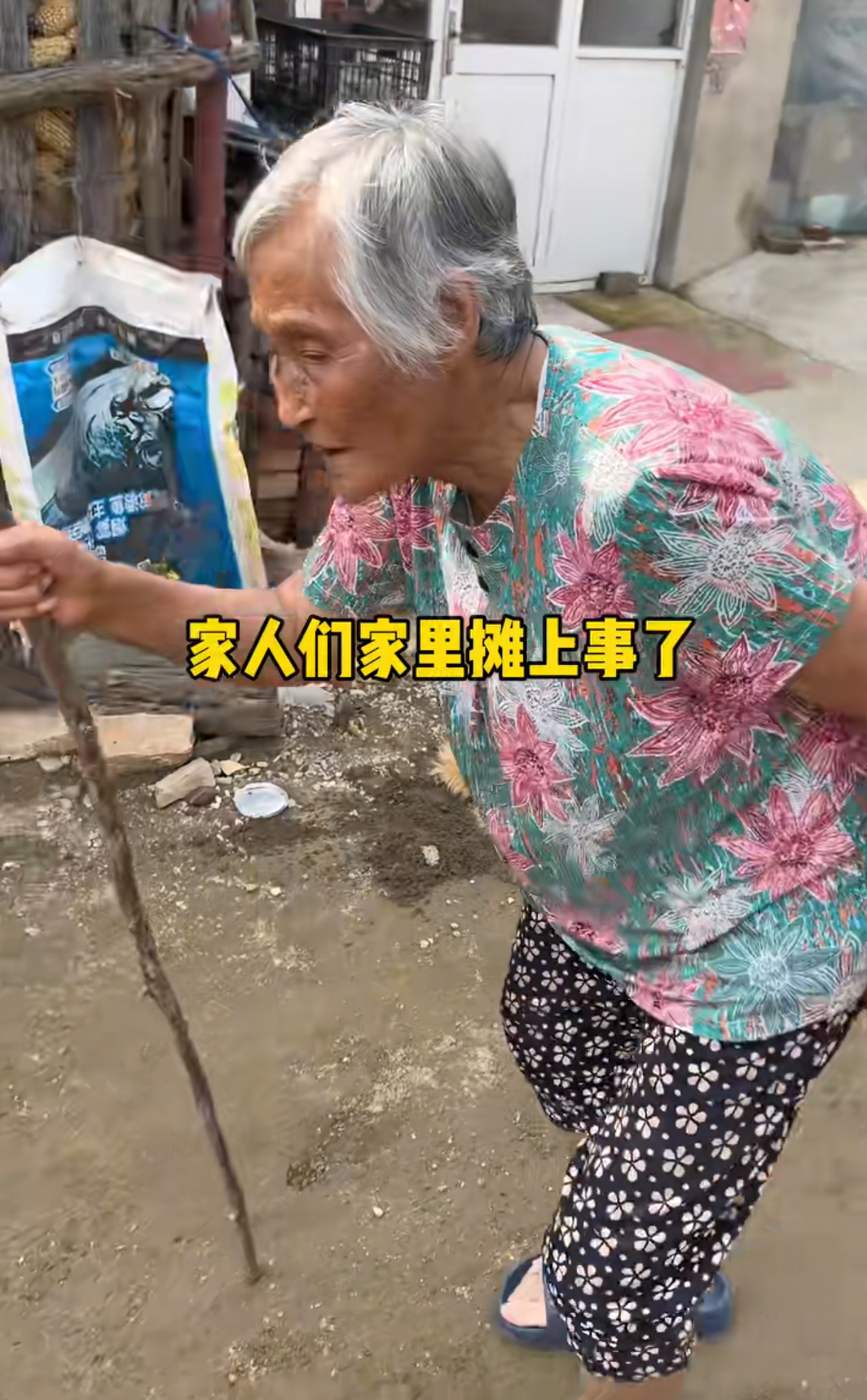 八旬网红徐姥姥住进ICU，蜱虫咬伤引发全网牵挂

那个系着蓝布围裙、在灶台前忙碌的徐姥姥，如今正躺在ICU与死神搏斗。82岁的她因蜱虫咬伤导致多器官衰竭，情况比去年姥爷被咬时更为严重。

徐姥姥是短视