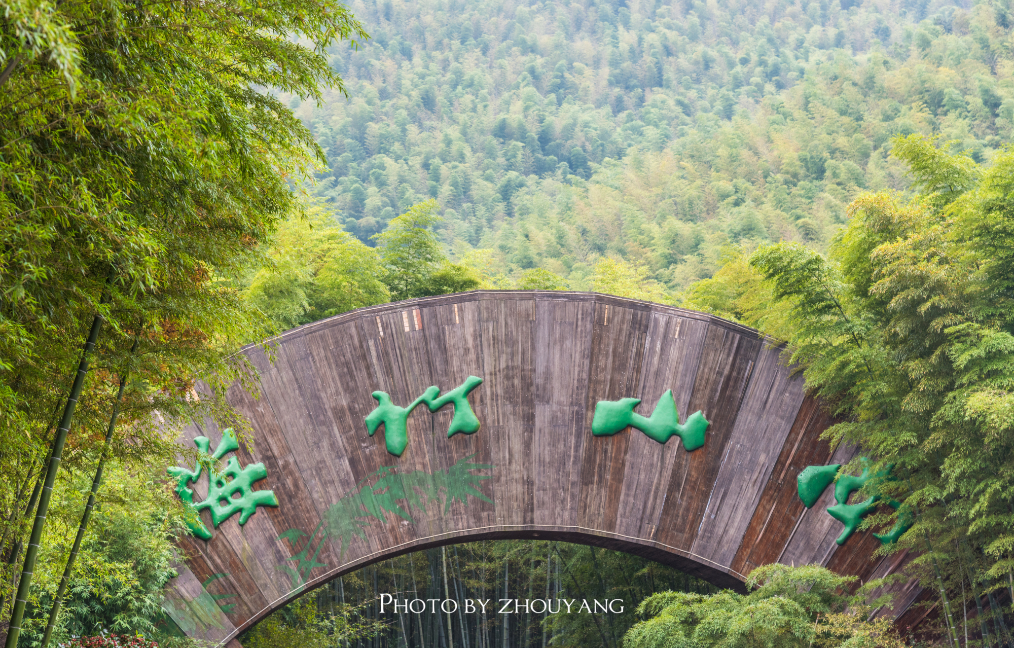 南山竹海景区是溧阳旅游最核心的景区之一，它分为五个区域，为静湖娱乐区、休闲娱乐区、历史文化区、寿文化区以及登山游览区。主要的景点有静湖、古官道、中国第一寿星、吴越弟一峰、撞钟祈福、鸡鸣村等。葱郁的竹林