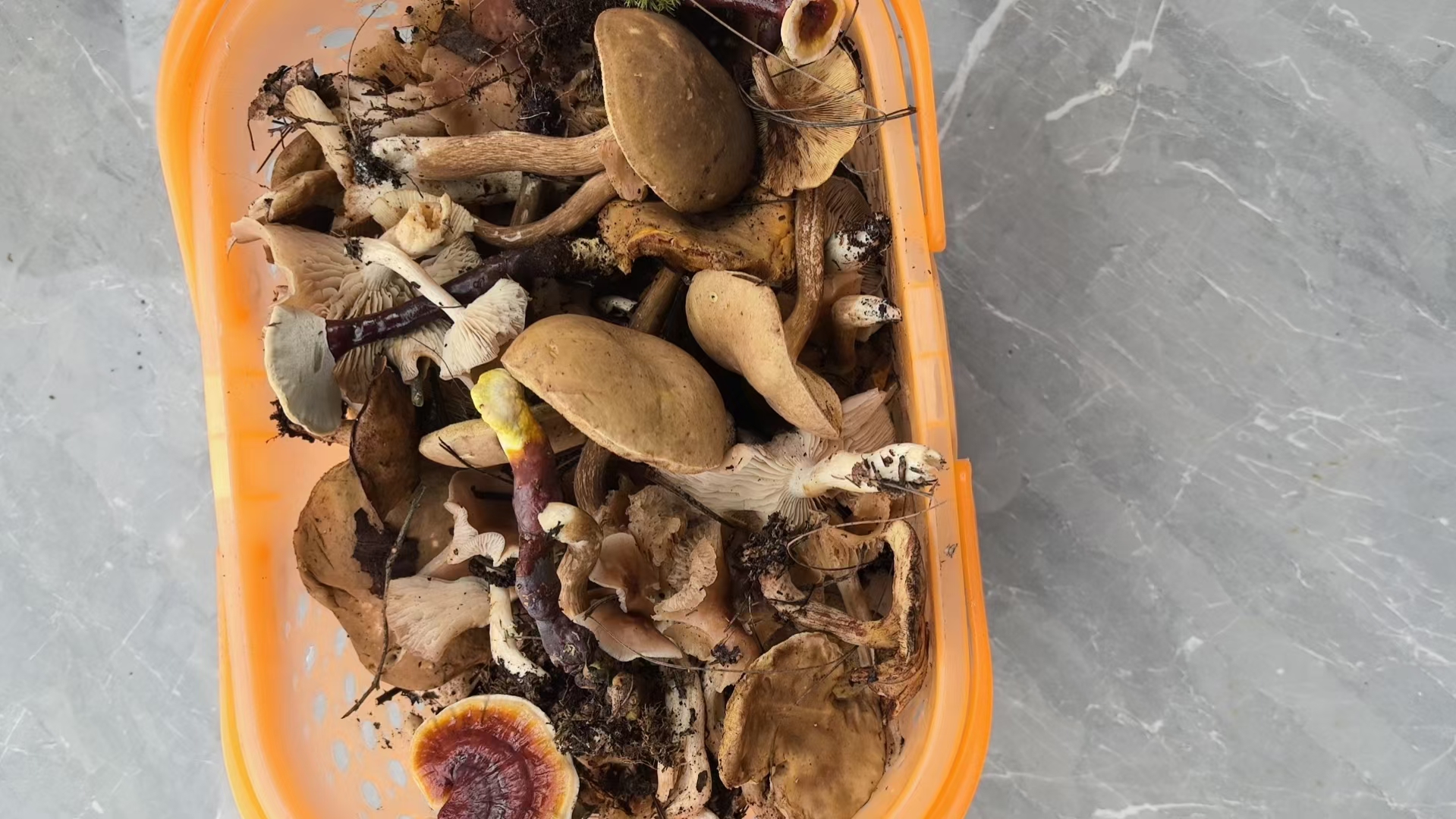 怎么做，才好吃