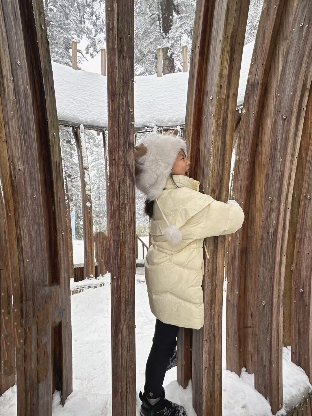 ❄️❄️❄️
冬有冬的意义，雪有❄️的秘密！
👬👭👫🏻我们一起去探索吧！