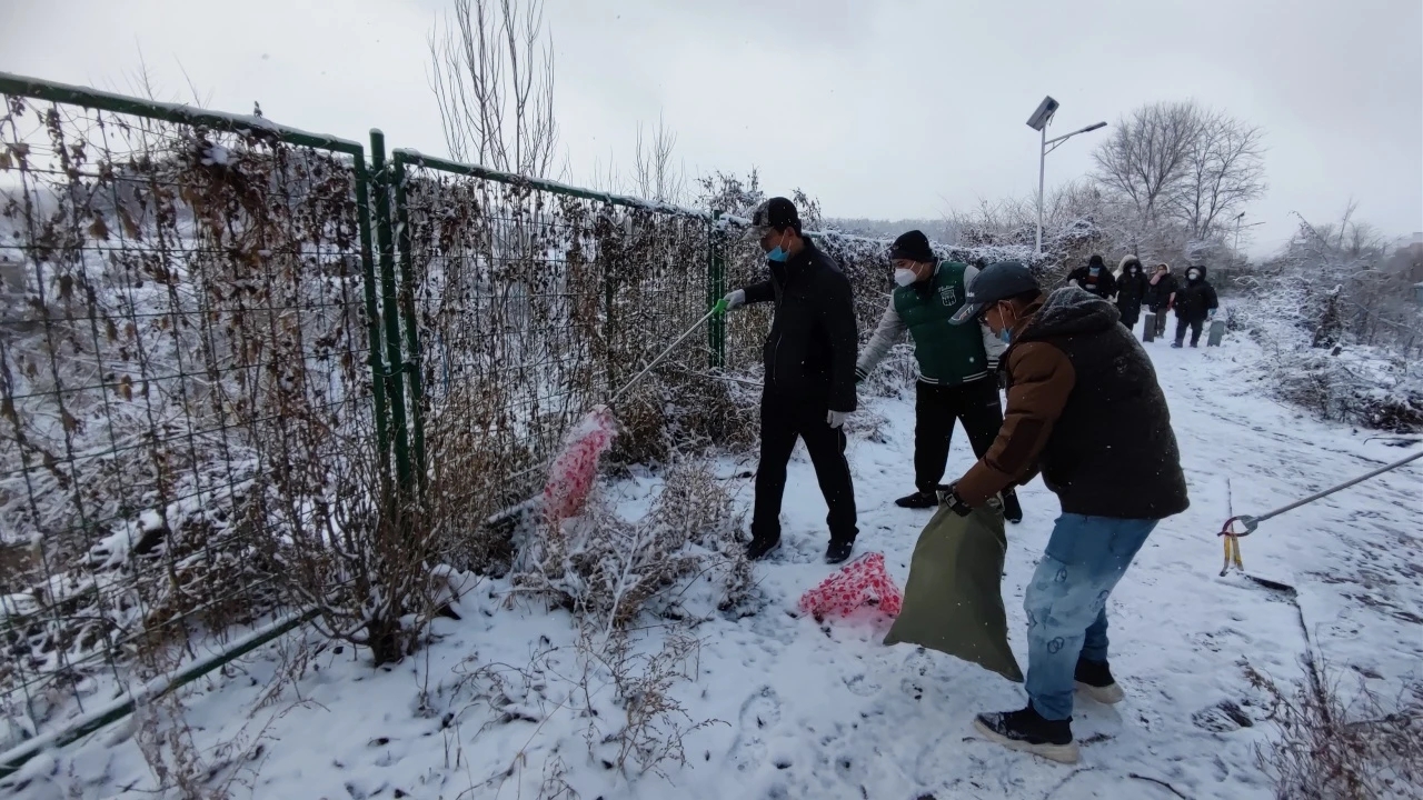 垃圾清扫，美化环境。为了让居民在冬季也能有一个干净整洁的散步环境。组织了垃圾清扫活动，志愿者们深入杨柏河，仔细清理堆积的垃圾和杂物。在他们的辛勤劳动下，杨柏河的环境焕然一新，居民们纷纷表示赞赏和感谢。