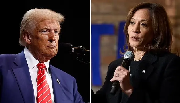 美国大选终极对决：川建国PK哈里斯，你选谁？

美国2024年大选进入最后一周，川普和哈里斯两位候选人神仙打架，吃瓜群众表示：这瓜太大了，我吃撑了！11月5日，美国人民将用选票决定国家未来走向，究竟