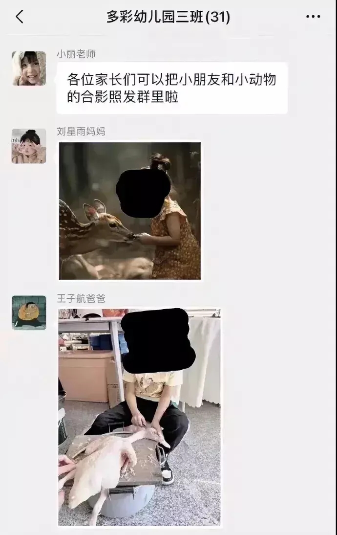 王子航爸爸已被踢出群聊！我觉得有点冤啊