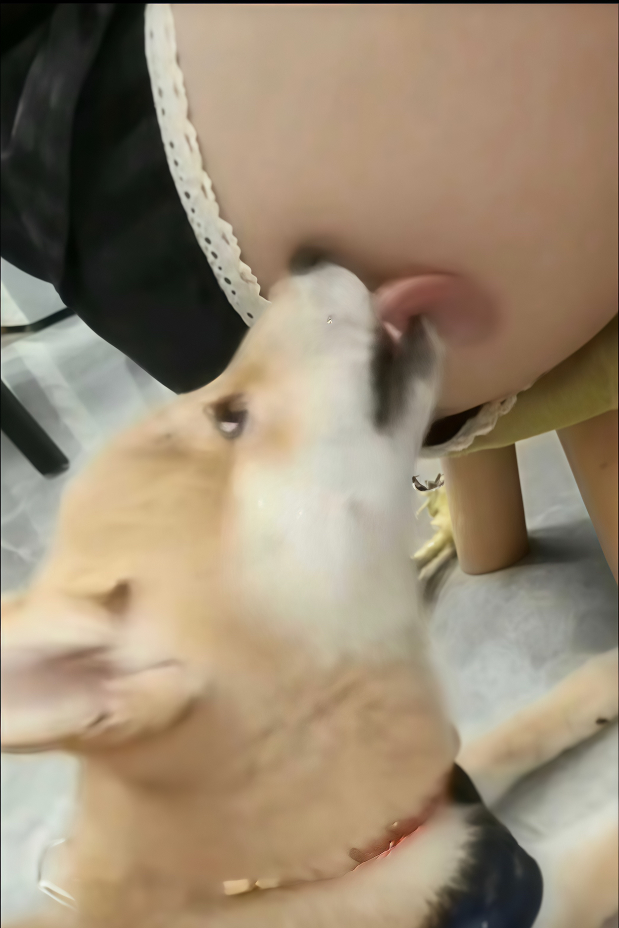 别舔了，她不属于你