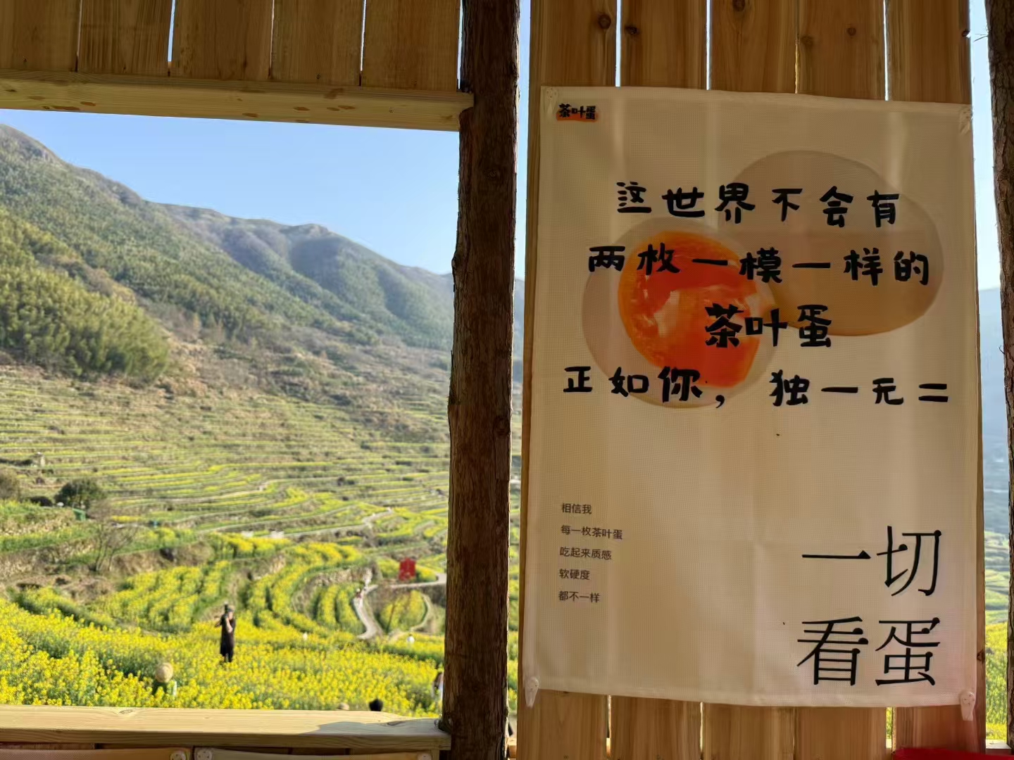 等风来，不如追风去🌬️
每一步的坚持，都是对生活的热爱🫶
又癫了一天[让我看看]
再不出来，夏天就来了吧[憨笑]
#等了一年的覆卮山
​