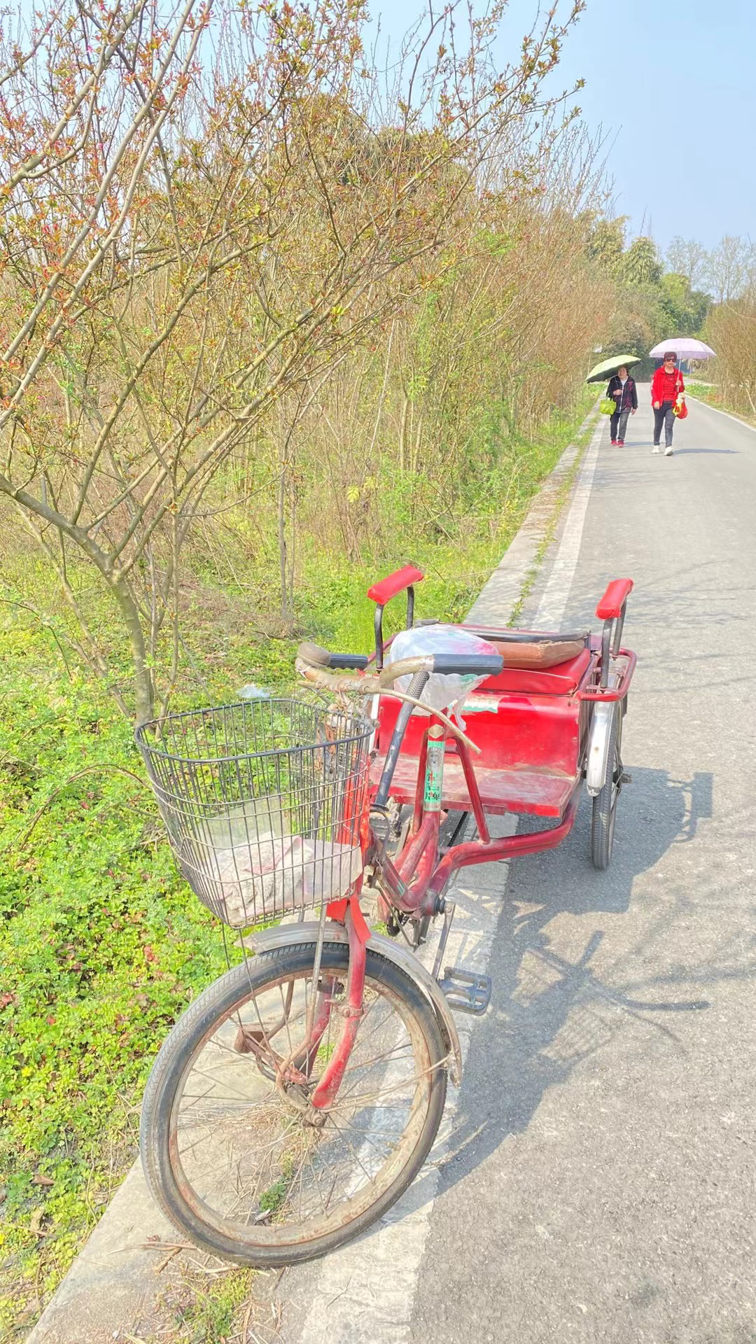 今年春节，我又去看外公了。他八十多岁了，身子瘦瘦的，但眼睛亮亮的，说话慢悠悠的，特别稳当。外公年轻时学会了算命，在我们老家“两县三地”这一带，大家都说他算得最准。周边的人出去工作，生活以后，有需要还是