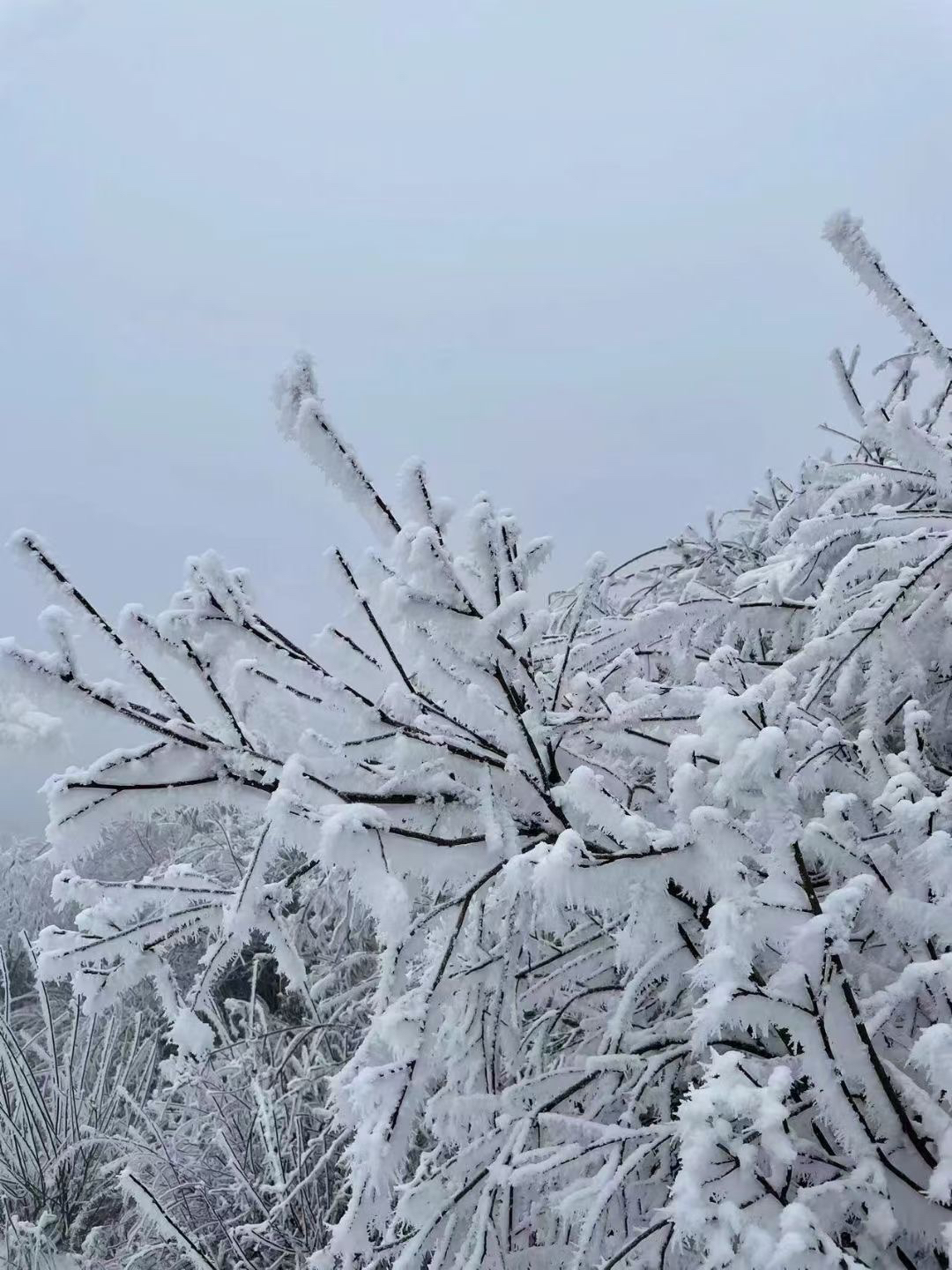 [勾引][勾引]冰雪世界[拥抱][拥抱][拥抱]
