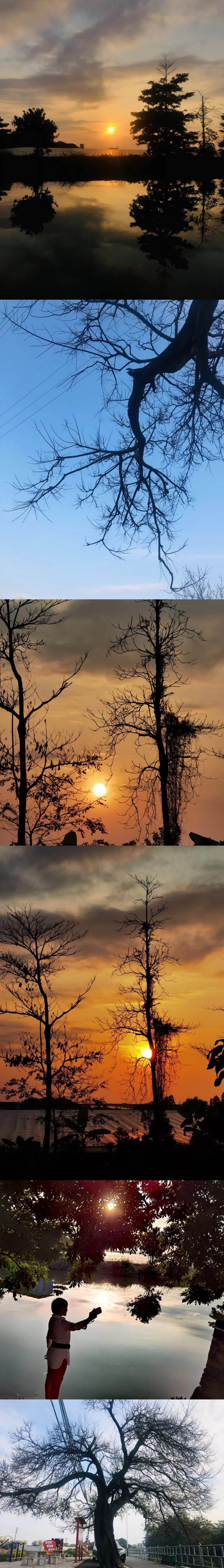 家乡的早晨，看日出🌅太美了！